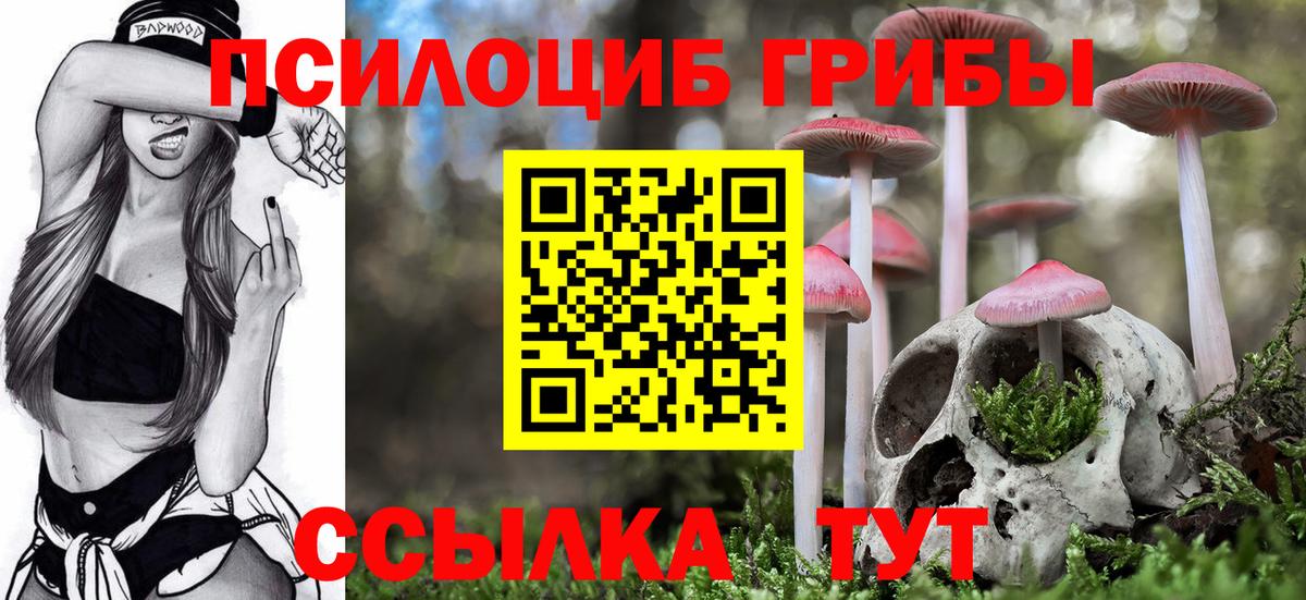 Ярославль  Псилоцибиновые грибы мицелий  Вход с VPN 