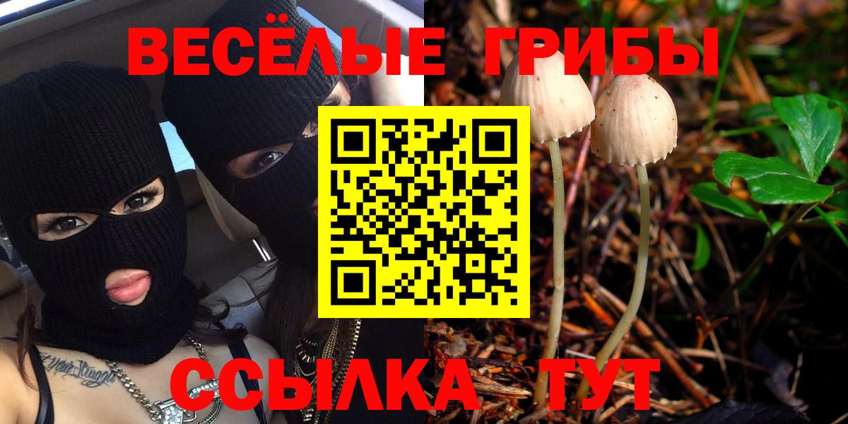 Псилоцибиновые грибы мухоморы Ярославль